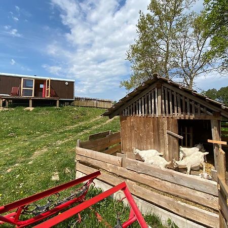 Maringotka Na Samote Na Kozi Farme Hotel Pobezovice Buitenkant foto